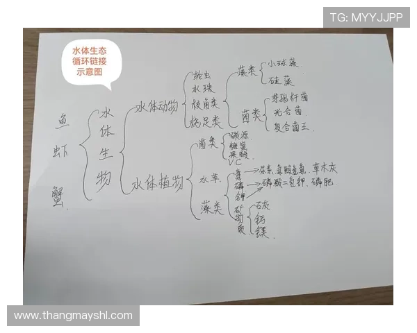 以U型池为核心设计的园林景观规划与水体循环利用方案探讨 以U型池为核心设计的园林景观规划与水体循环利用方案探讨
