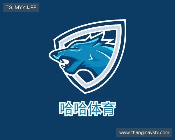 关于哈哈体育十年